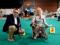 Senna IDS Golden Dog Trophy, very promising, place 1, Best Puppy